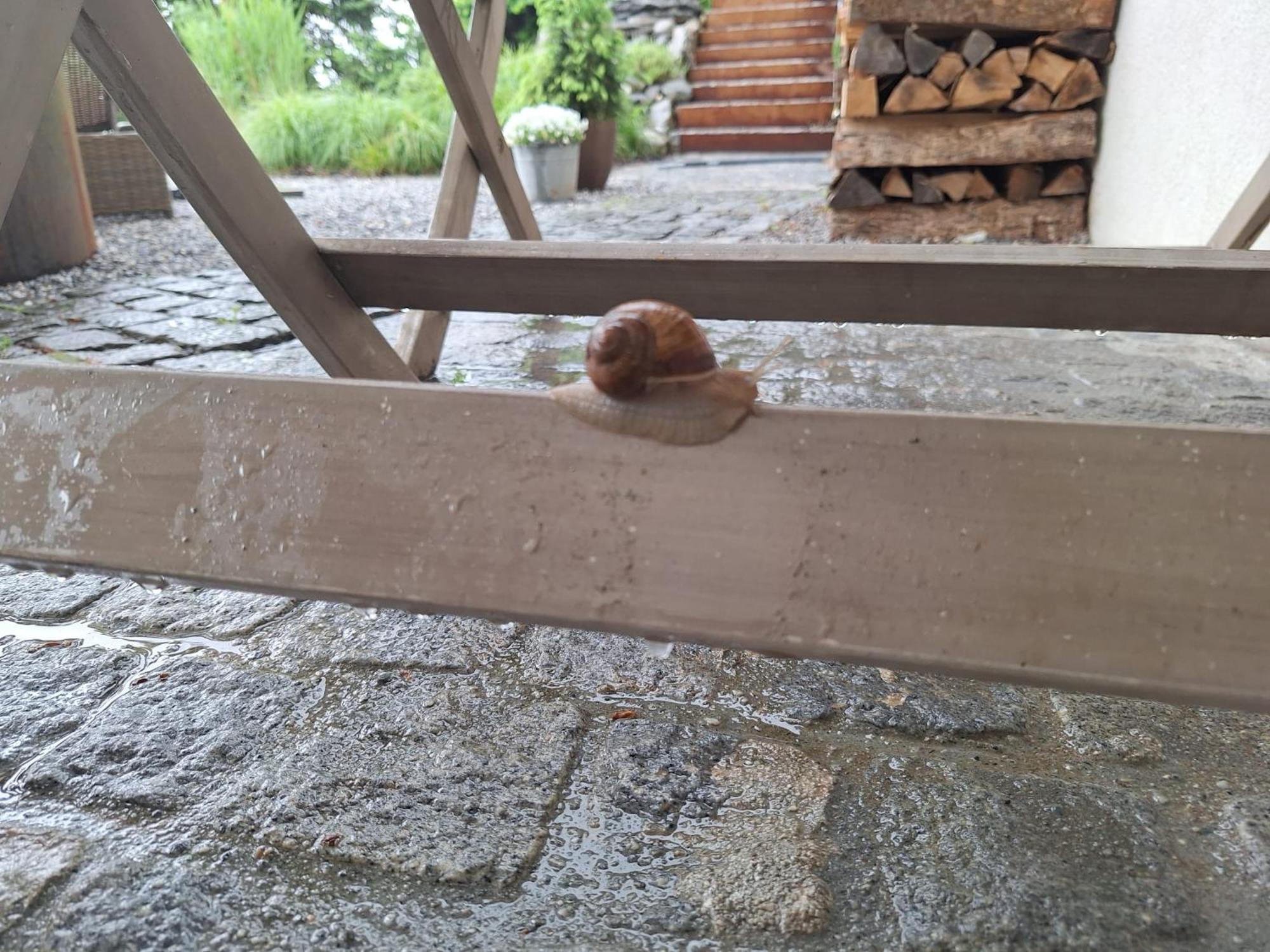 Apartament Filipponi'S Traeumli Ruthi Zewnętrze zdjęcie